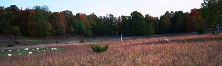 ancient-world ancient-world