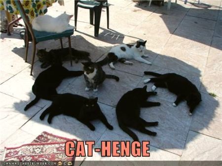 cat henge