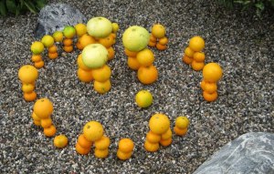 Citrus henge, courtesy of champion henger, Simon Burrow