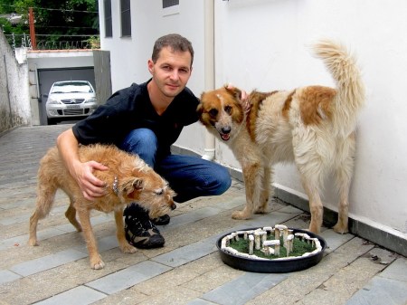 Sergio Greif, henge, and curious dogs